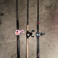 Salmon Rods 