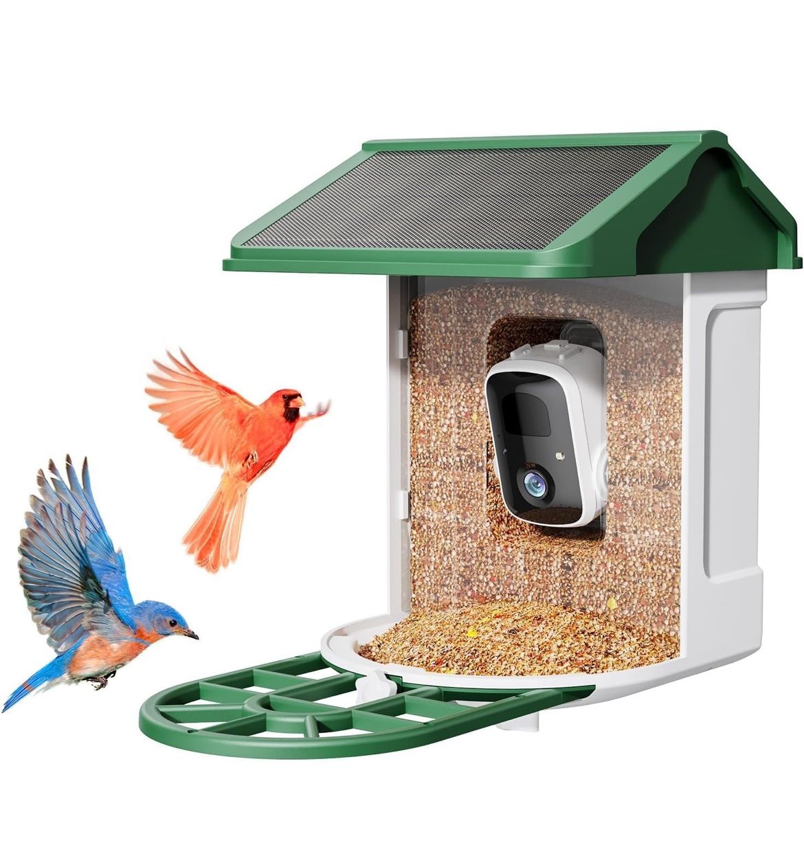 Bird Feeder with Camera - Supports AI Identify Species, 2K