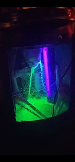 Puking Skeleton Halloween