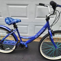 26" , 7 Speed Cruiser