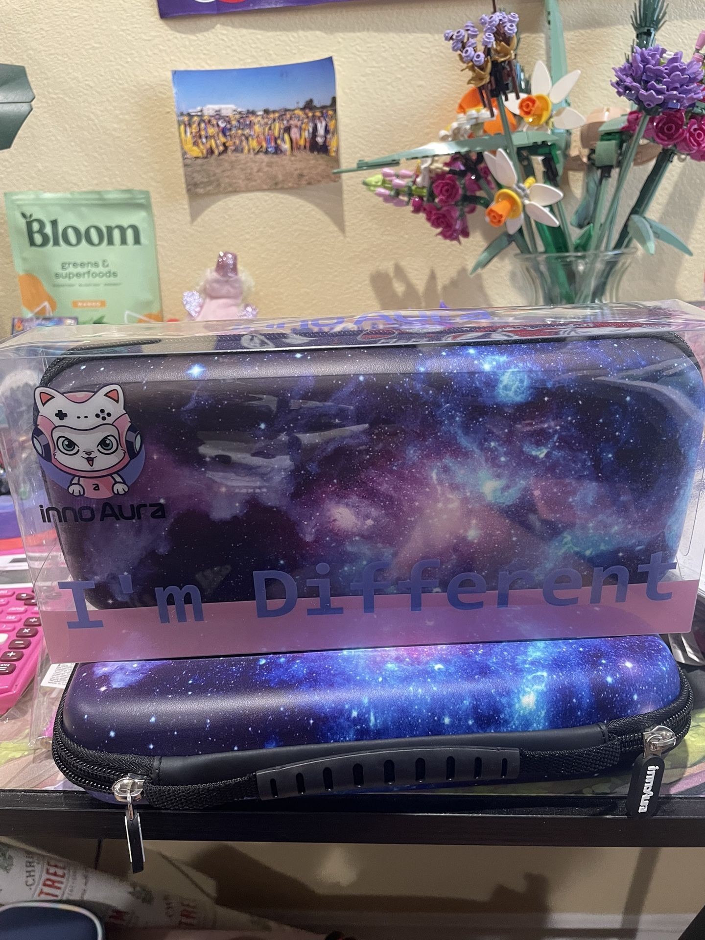 Nintendo Switch Case