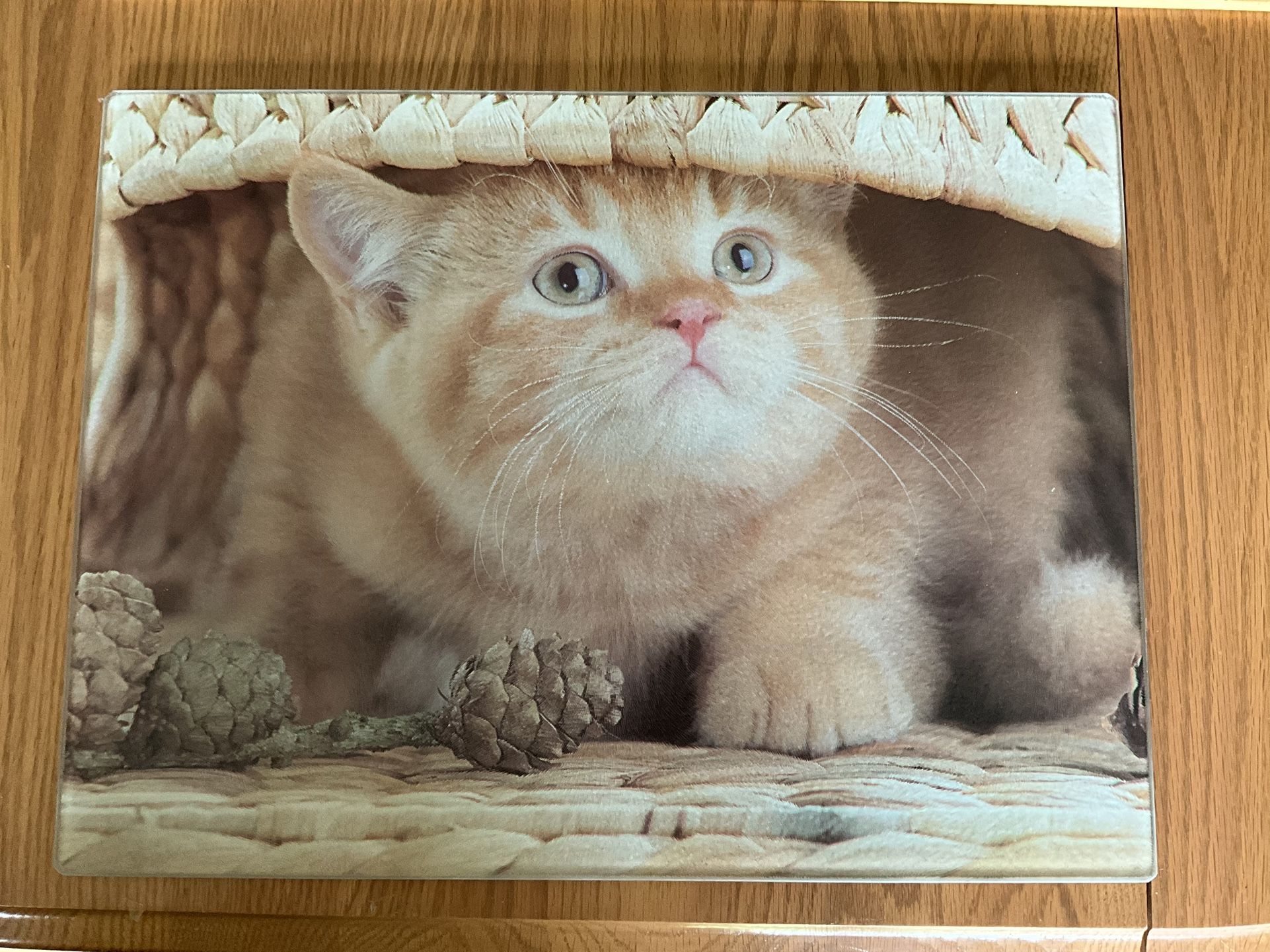 Tempered Glass Cutting Board - Orange Cat