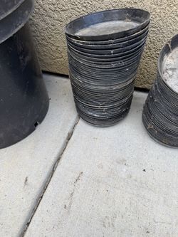 Charolitas Para Plantas