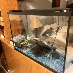 Fish Tank