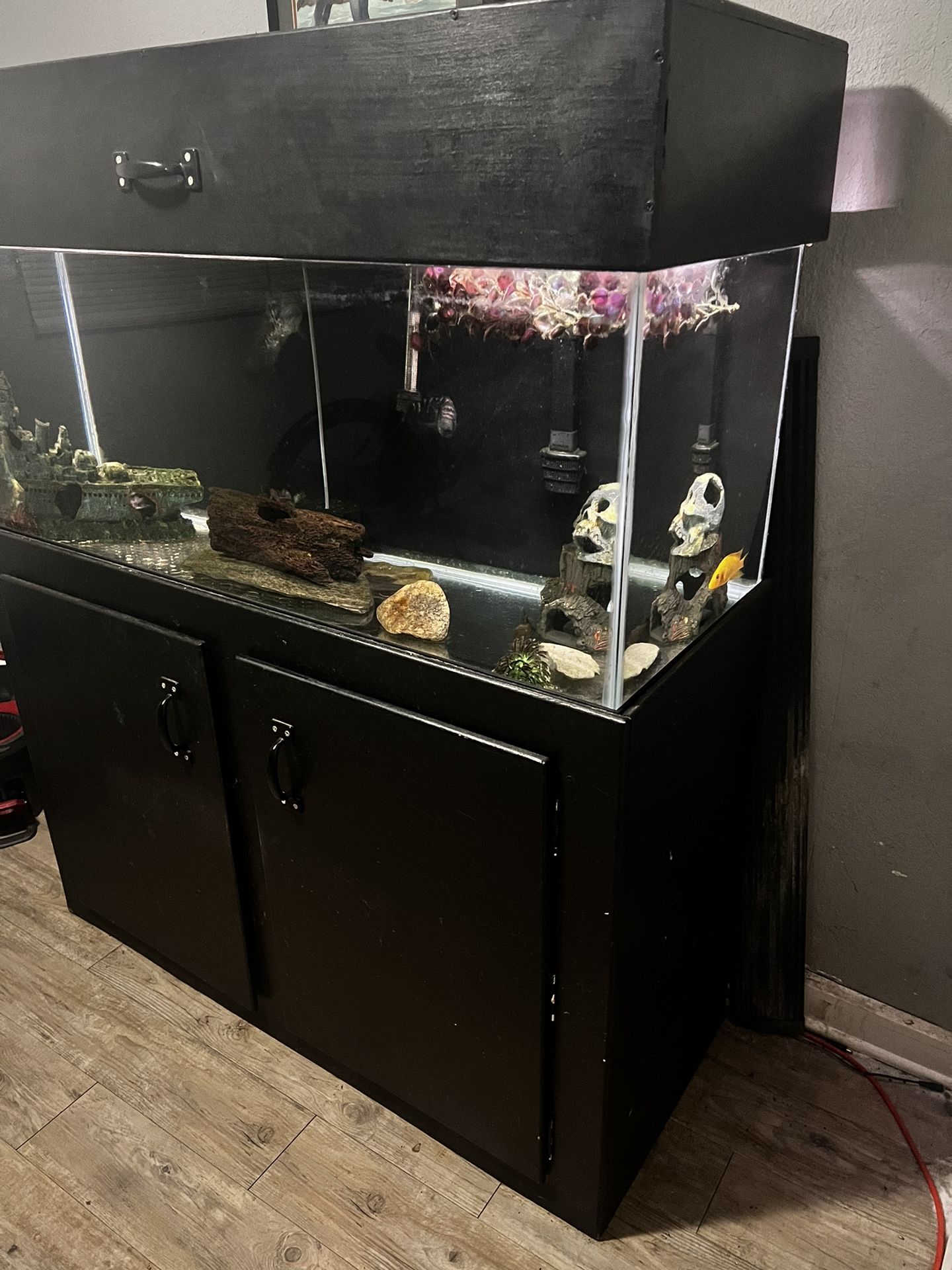 75 Gallon Fish Tank 300 OBO