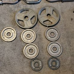 47" Olympic EZ Curl Barbell Bar