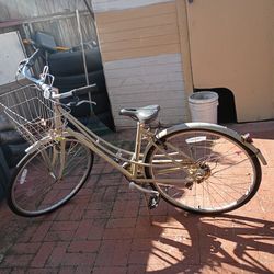 Women's Bicycle 🚲