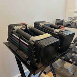 PowerBlock Elite EXP Adjustable Dumbbells Pair (max 70lbs per weight) (with Stand) 