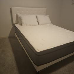 Queen Size Bed With Hybrid Mattress 