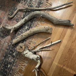 Large Driftwood Pieces 