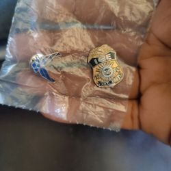 Vintage Special Agent Homeland Security / Air Force Lapel Pin