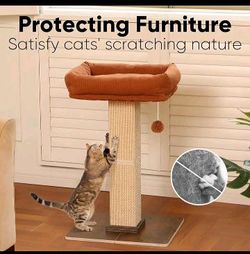 Multi-functional Sisal Cat Scratching Post with Perch ( Brand New, In Box ) For $15