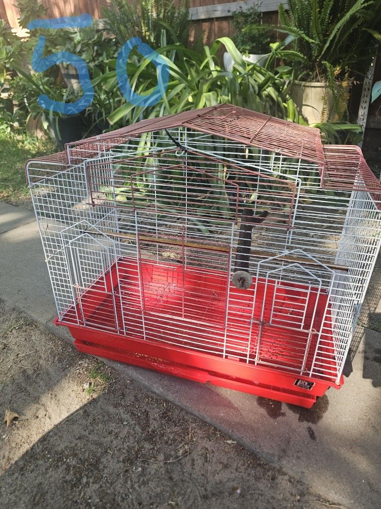 Bird Cages