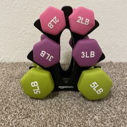 Amazon Basics Neoprene Workout Dumbbell (2Ib, 3lb, 5lb) - Fast Shipping