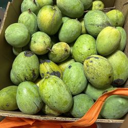 Mango