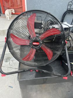 Fan
