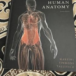 Human Anatomy Seventh Edition