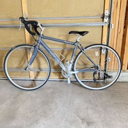 Fuji Finest 1.0 Road Bike