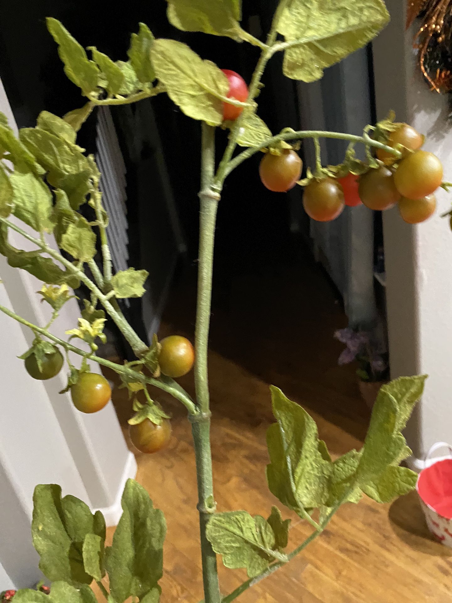 Fake Tommato Branch