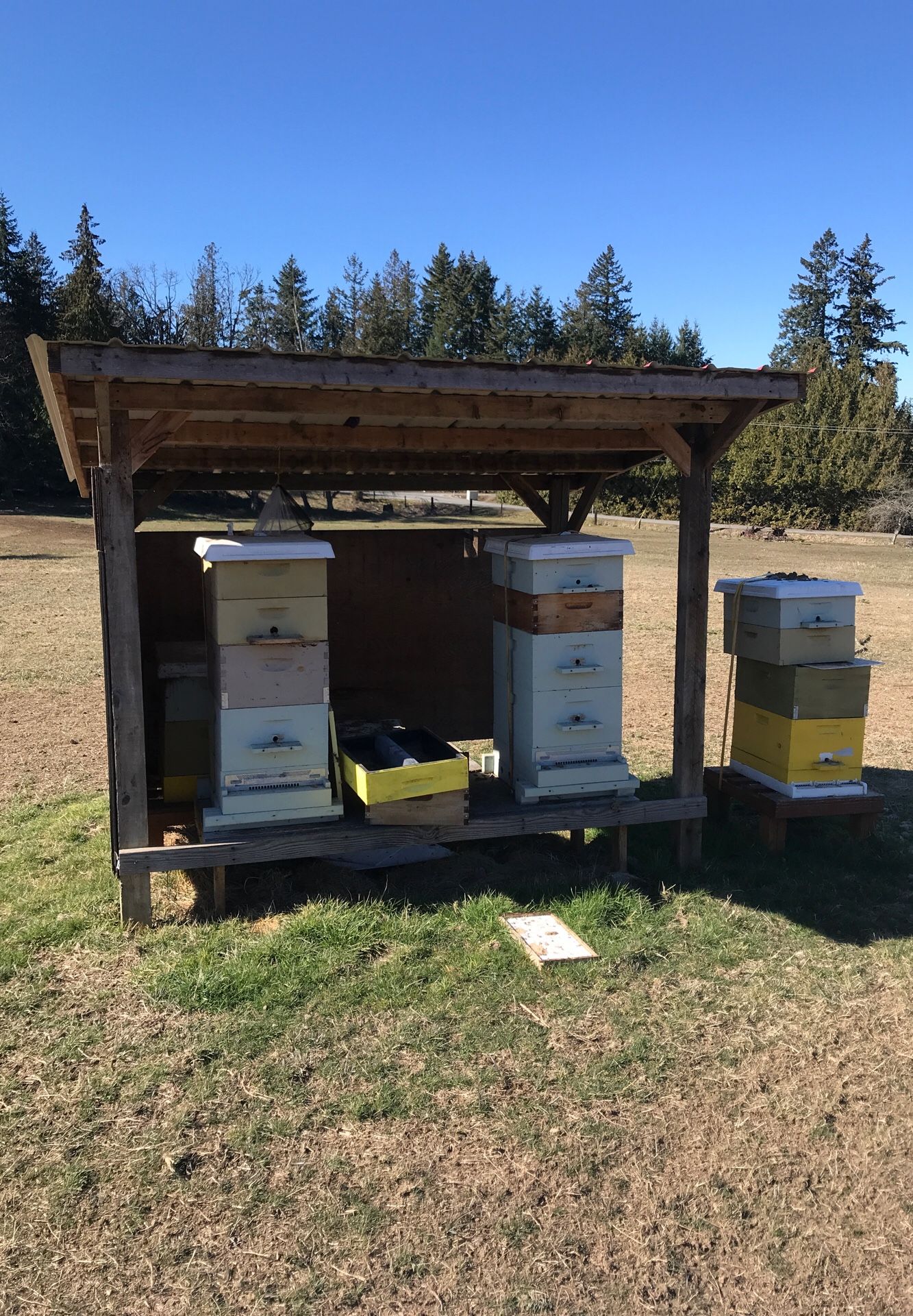 Honey bee farm setup