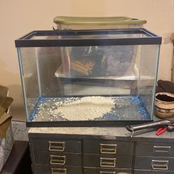 20 gallon fish tank 