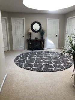 Safavieh 9ft Shag rug