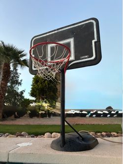 lifetime water basketball hoop and ball