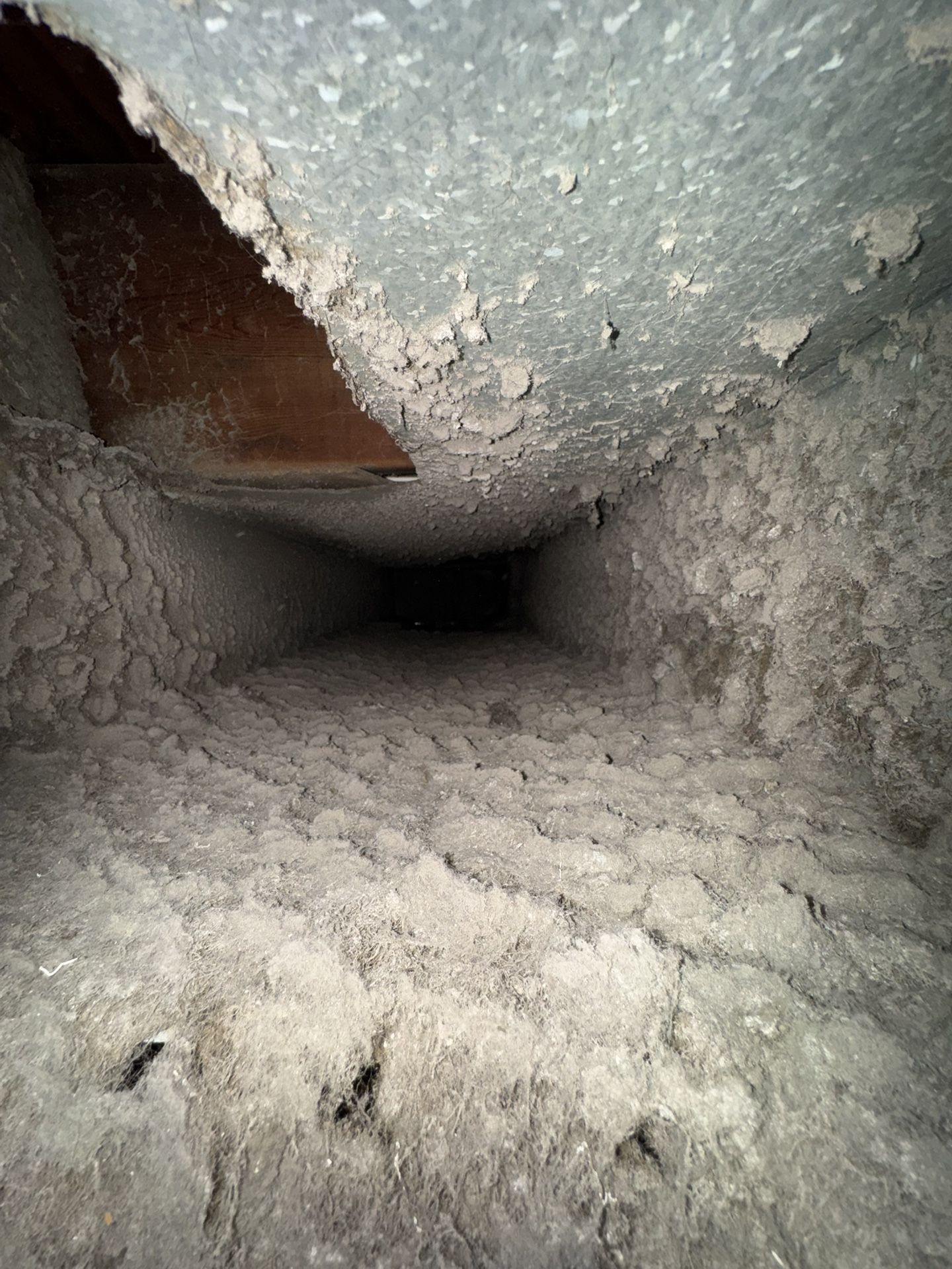 Duct Cleaning