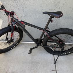 Adult Fat Tire Bike