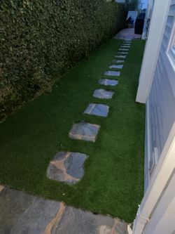 Turf