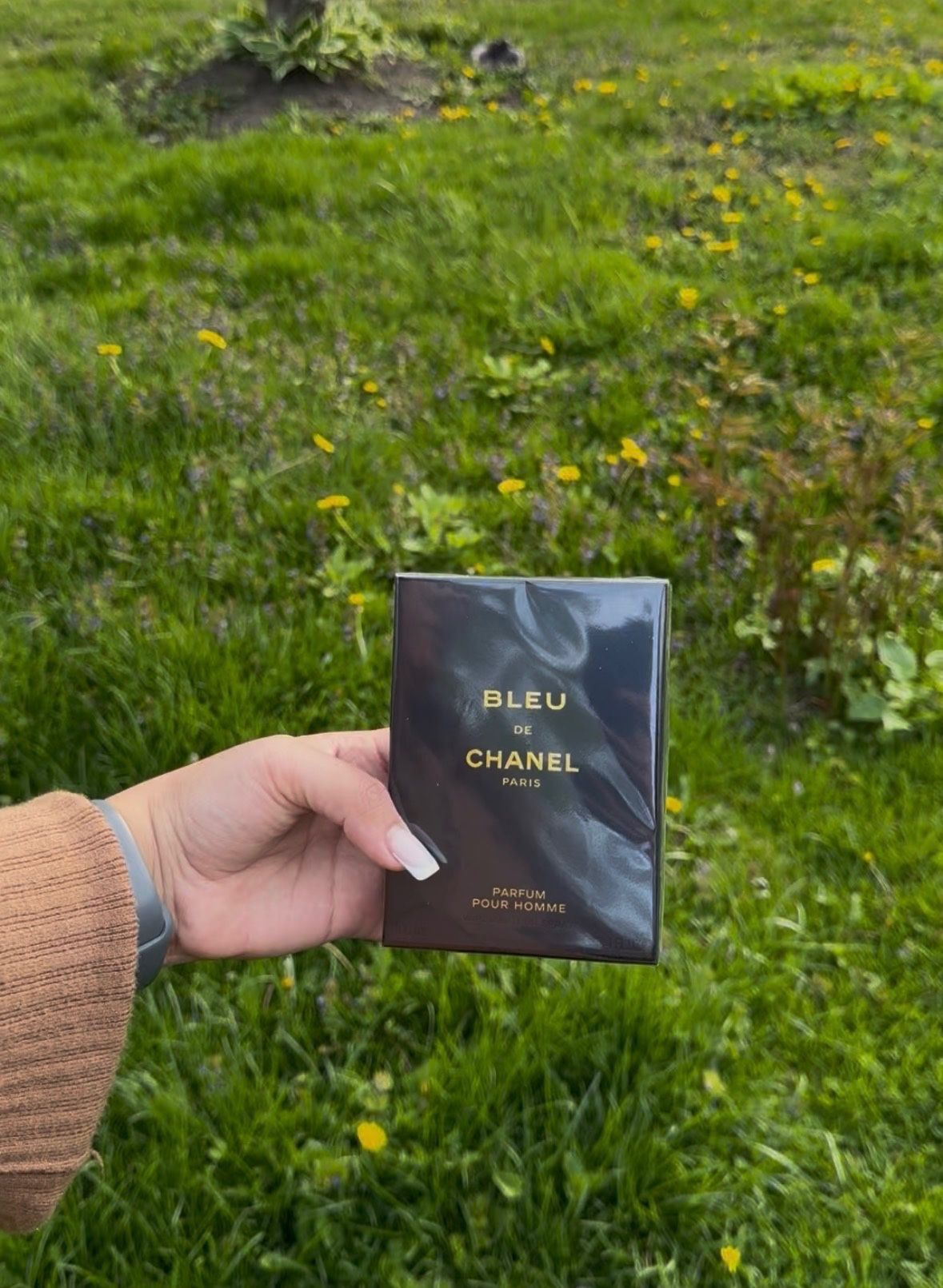 Bleu De Channel Parfum