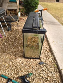 Fish tank