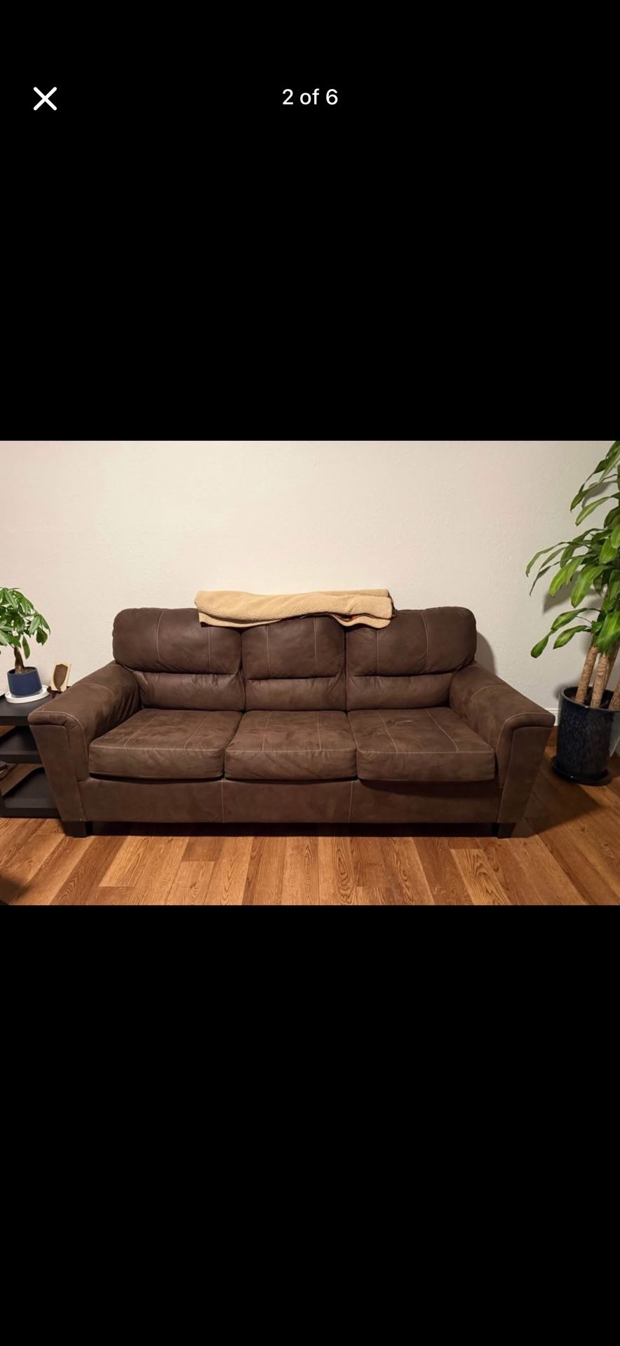Couch (pull Out Bed)