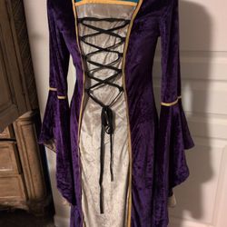Renaissance Costume Ladies Small Purple Velvet