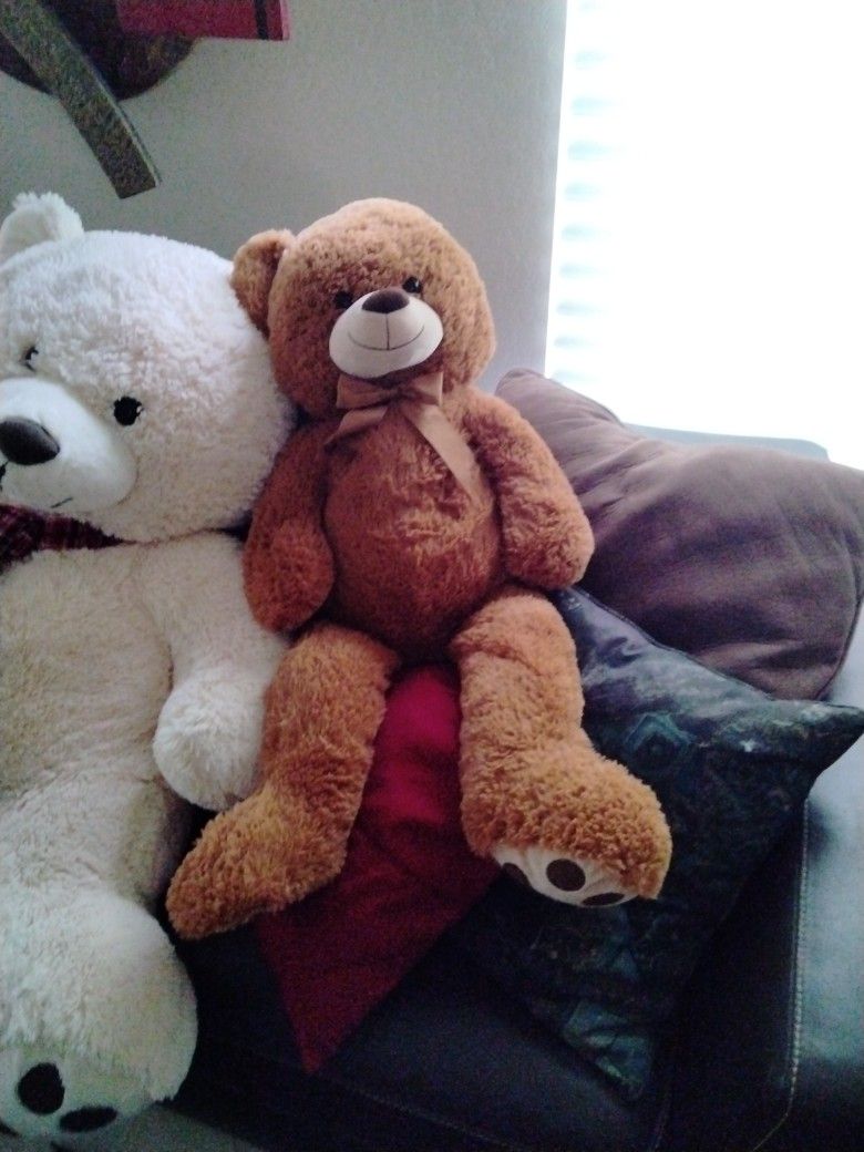 Teddy Bear