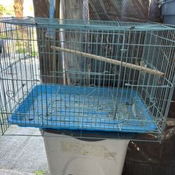 Jaulas Tengo Blanco Y Amarillos. Pregunten 