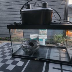Reptile/arachnid vivarium setup 20 x 10 x 12