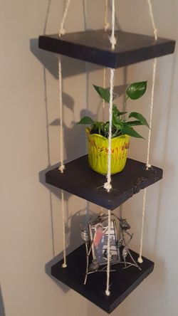 plant swing