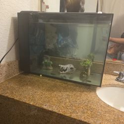 Fish Tank