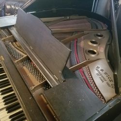 Free Grand Piano