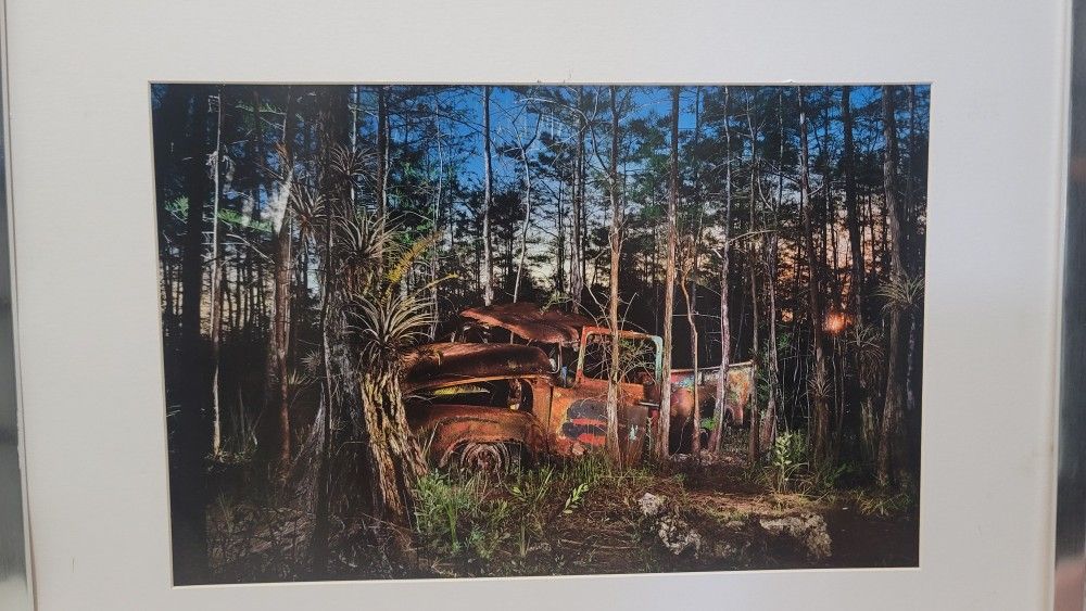 MATT STOCK Abanded Vehicles Of The Everglades Print