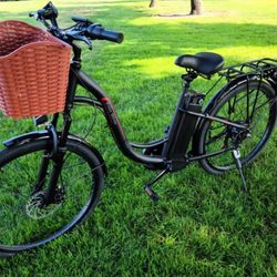 Electric Bike 