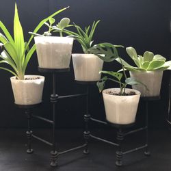 Metal Plant Holder Centerpiece Display Includes Plants