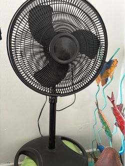 Fan - Works great.