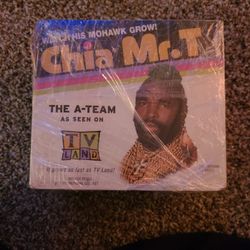 Mr.T Chia