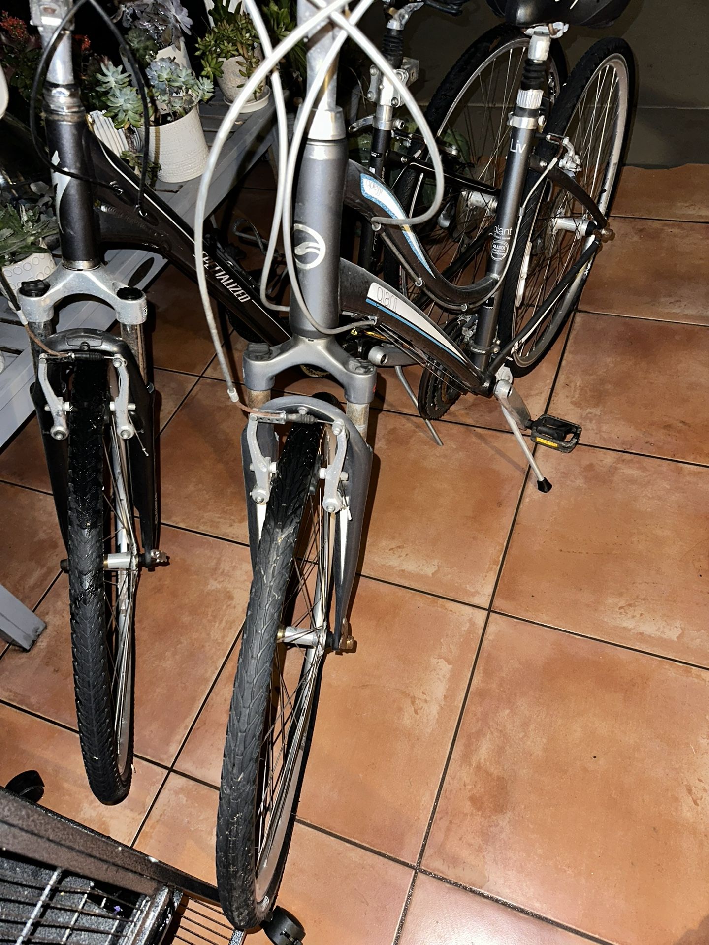 Giant Womens Bike For sale Great Condition $150 And $275 -  www.disolcolor.com