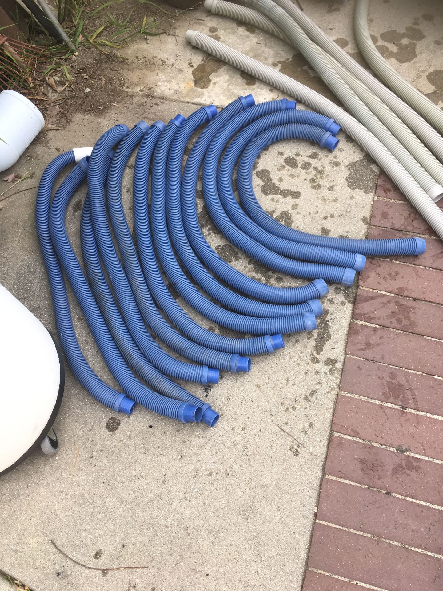 hayward hoses for pool vacuum cleaner