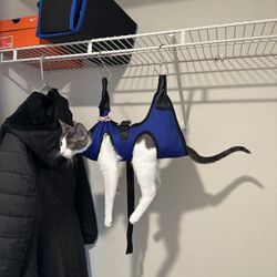 PatiencET Pet Grooming Hammock – Blue (with Nail Care Kit)