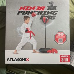 Ninja punching Bag W/ Gloves Included  