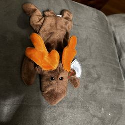Chocolate, The Beanie Baby Moose